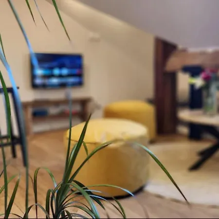 My Casa - Grimaldi - Sous Les Toits De ניס